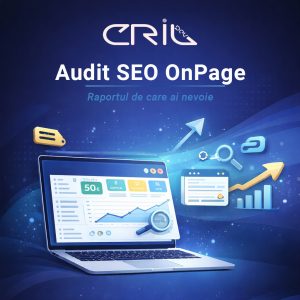 audit seo onpage